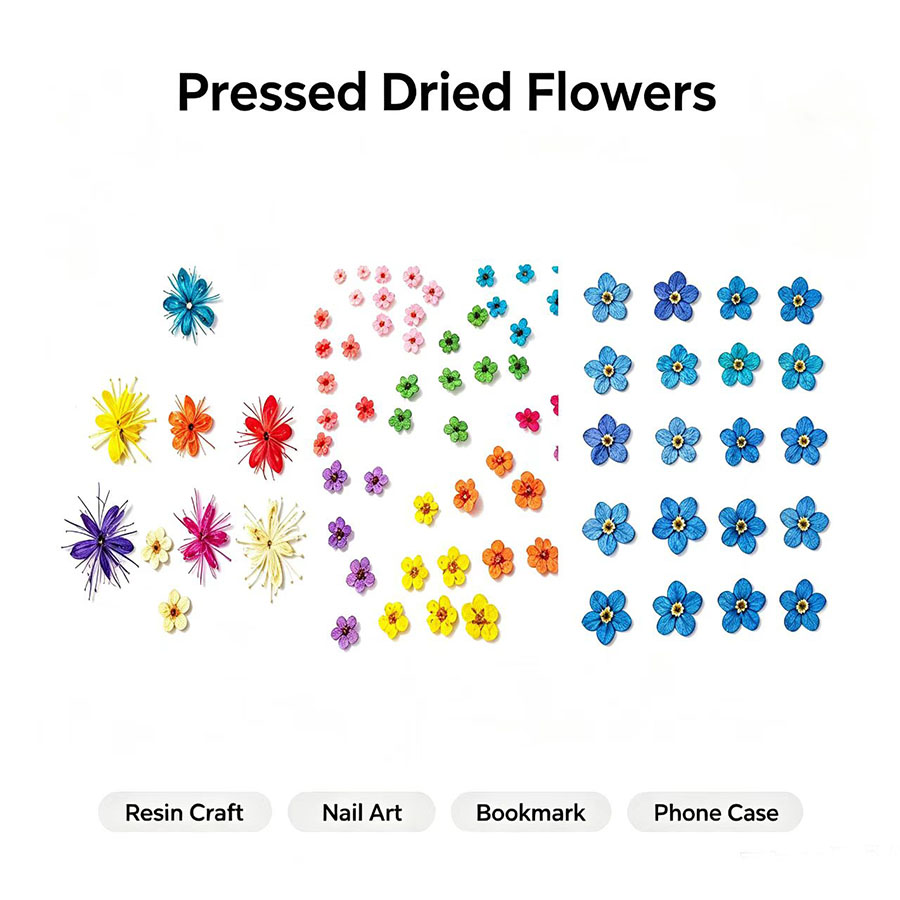 60 stuks gedroogde bloemen – k - Resin Craft Ideas recensie en prijs