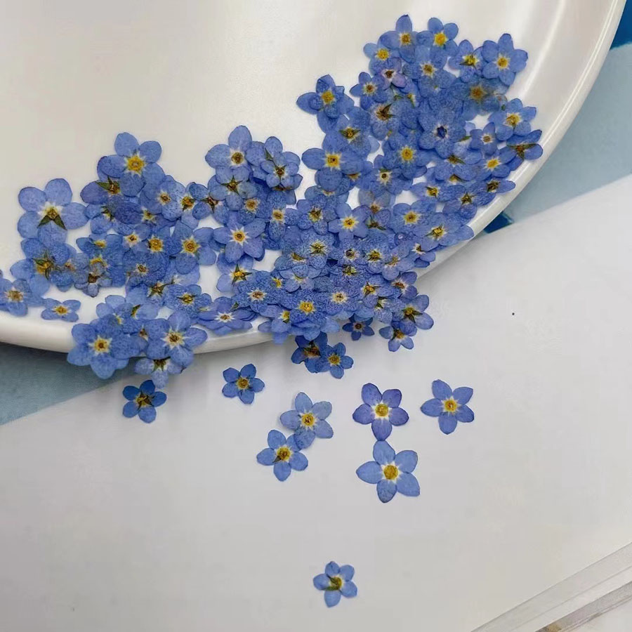 60 stuks gedroogde bloemen – k - Resin Craft Ideas recensie en prijs